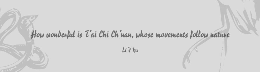 Tai Chi Poem
